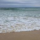 동해바다 이미지