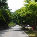 옥성자연휴양림제4주차장 이미지