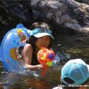 수주농원 이미지