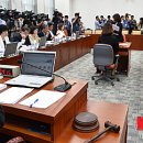 김재연 카카오 검색결과