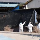 연합농장 이미지