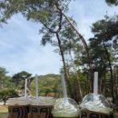 북한산 아래 숨은 화덕피자 맛집, '리마르코' 솔직 후기!