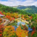삼성궁 이미지