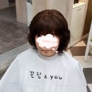 김호증모가발춘천체인점