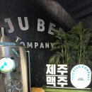 제주담투어 | 제주 여행 비오는 날 가볼만한 곳 협재 제주맥주 양조장 오디오가이드 투어 내돈내산 솔직후기
