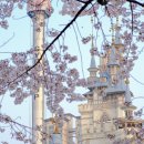 낙원미용실 이미지