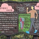 스카이인베스트 이미지