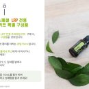 아로마전문관리사 -아로마테라피 1급 2급 자격증