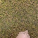 곰방대 | 포천전자담배 다양한 제품이 많았던 곰방대하우스 후기