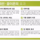 힐스템 주열테라피 이미지