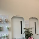 계절엔동물의료센터 미용실 | 관평동 계절엔동물의료센터 : 대전 친절한 동물병원 강아지 치은염치료 내돈내산 후기