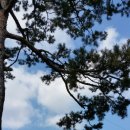 베스트타운 공인중개사사무소 이미지