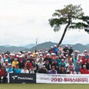 삼화상사㈜ 파이낸셜뉴스