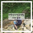천안 아이와 가볼만한곳 태학산자연휴양림 계곡 가재잡기 후기