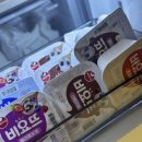 시청별동공사 | 서울우유 양주공장 견학 후기(+기념품 최고)