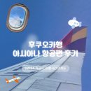 134 | 후쿠오카 아시아나 OZ134 후기 좌석 기내식 탑승 경험 정리