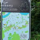 우면산 (대성사 옆) 이미지