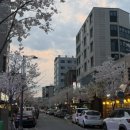 별빛수족관 | 신림 별빛거리 신사조개 조개찜 2인 후기 조개구이 맛집