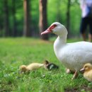 24시 신도림S동물의료센터 이미지