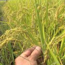 (주)썬그린 이미지