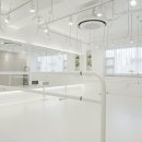 바디 라인 필라테스 이미지