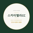 스카이대영정보 | 스카이밸리CC 골프회원권, 시세보다 먼저 봐야 할 것들