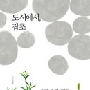 뽑고 또 뽑고 이미지