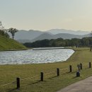 단비고집 이미지