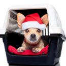 천지목장 이미지