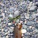 화암경로당 이미지