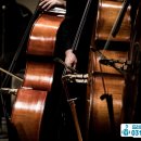 첼로 1:1 맞춤레슨 이미지