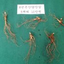 홀뫼농장 이미지