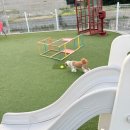 멍스빌리지풀빌라1 네이버블로그