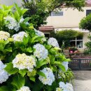 선흘하우스 이미지