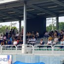 이천시 야구장 이미지