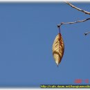 대전대화중학교 이미지