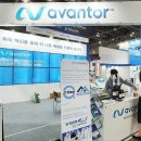 코리아(KOREA) 이미지