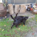 김옥동웰빙찻집 이미지