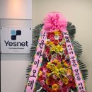 예스넷 이미지
