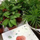 그림책 원예테라피 이미지