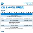 [패스트레인-SAP교육] SAP 10월 교육일정 추천 안내! (S/4HANA·ABAP·FI·MM·PP 아카데미 외) 이미지