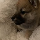 성북-종암-1308 이미지