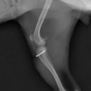 그랜드24시동물병원 이미지