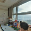 세움보조기 이미지