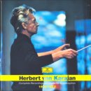 유쾌한 미망인 / Karajan 이미지