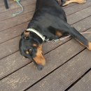 들꽃가든 이미지