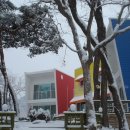 숲속의하루 이미지