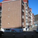 고흥읍 학교길 이미지