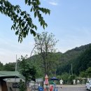 인제소재골야영장 네이버블로그