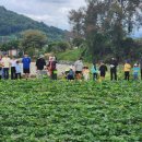 소민농장 이미지